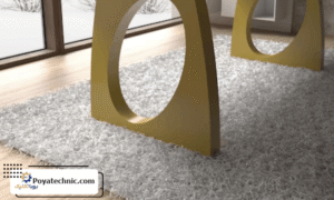 نقش پایه پلیمری در بهداشت و نگهداری کفش ها