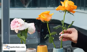 نکات نگهداری و تمیزکاری گلهای پی وی سی